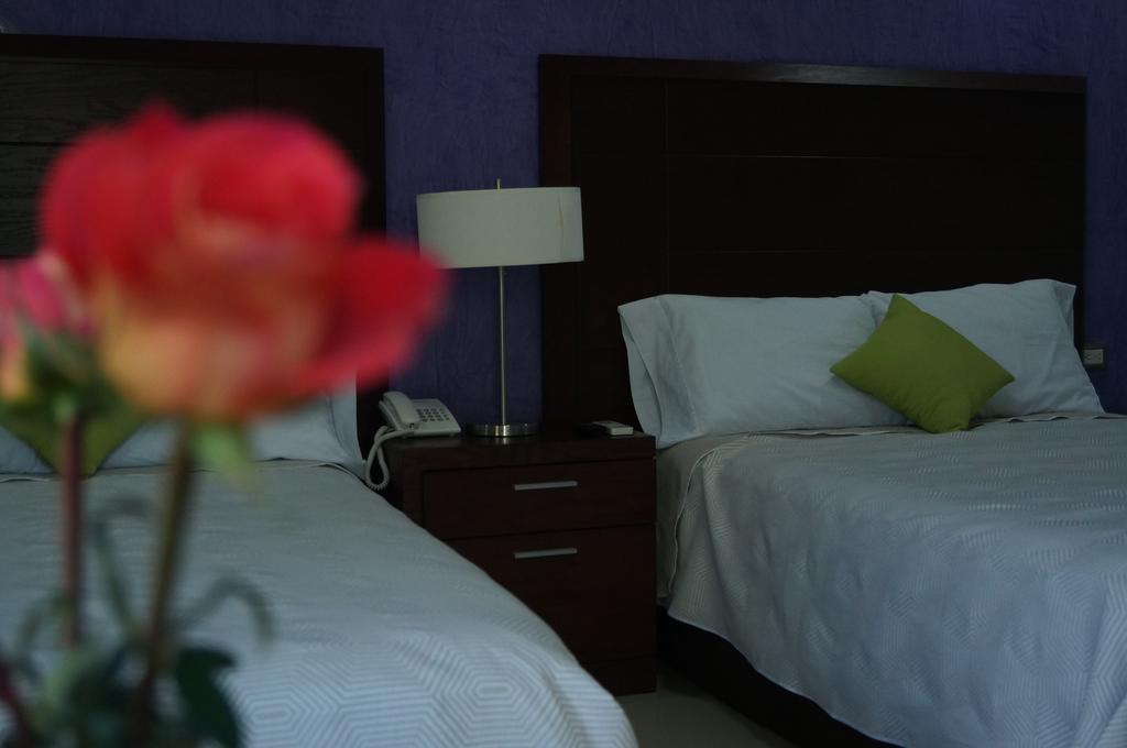 Hotel Casa Palomino Mérida Buitenkant foto