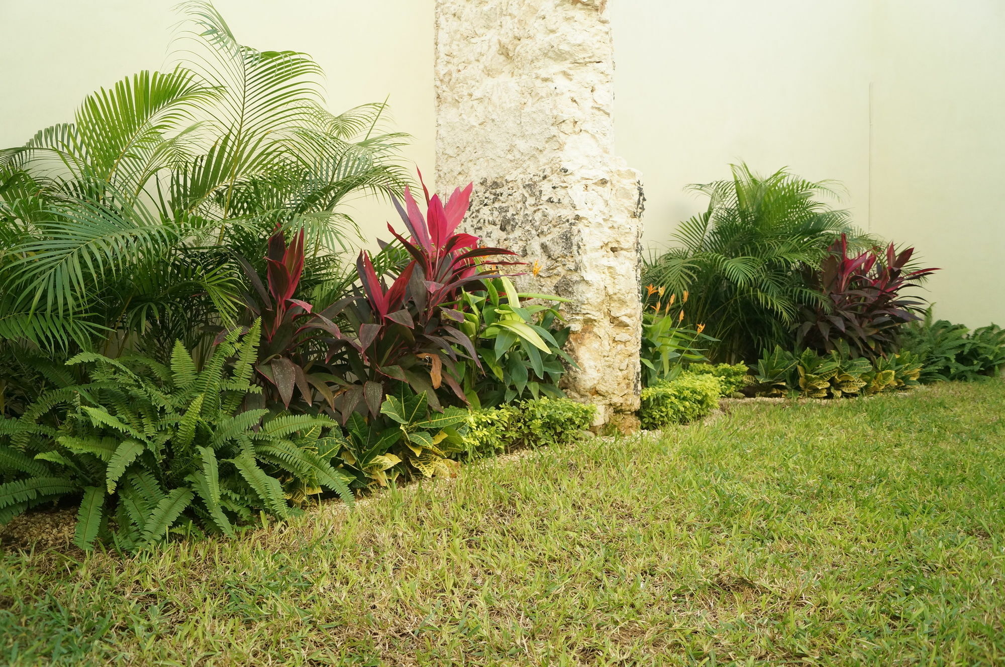 Hotel Casa Palomino Mérida Buitenkant foto