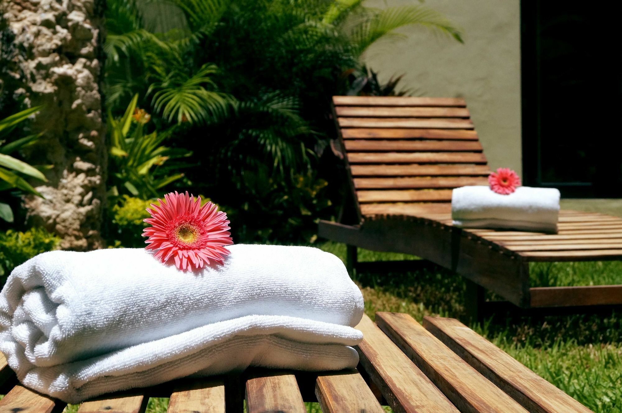Hotel Casa Palomino Mérida Buitenkant foto