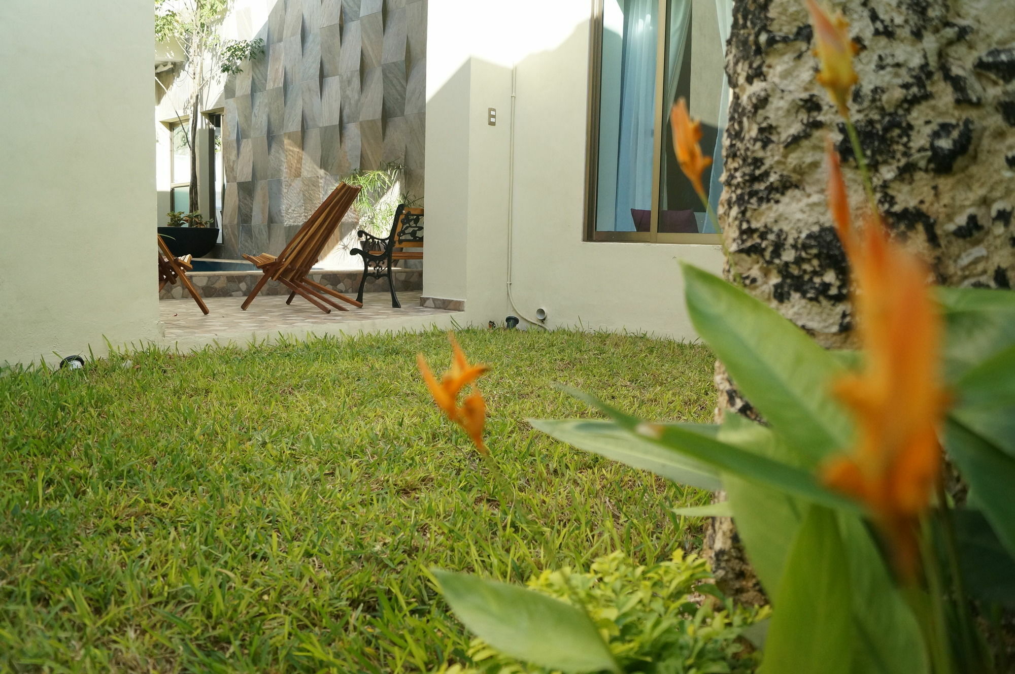 Hotel Casa Palomino Mérida Buitenkant foto